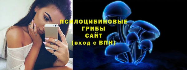 круглые Дмитриев