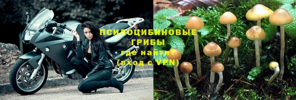 круглые Дмитриев