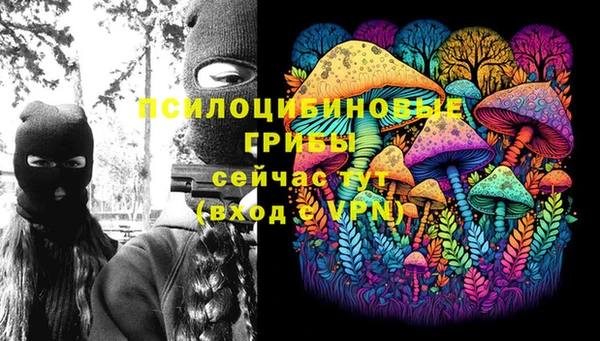 круглые Дмитриев