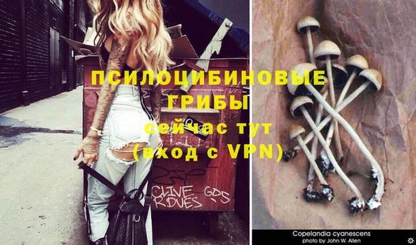 трава Дмитровск