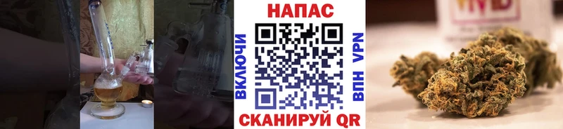 Купить закладки  Малая Вишера  Бошки Шишки планчик 